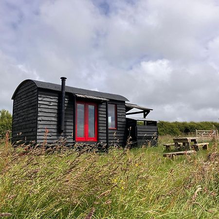 Shepherds Hut In A Private Meadow With Sea Views Hartland Kültér fotó
