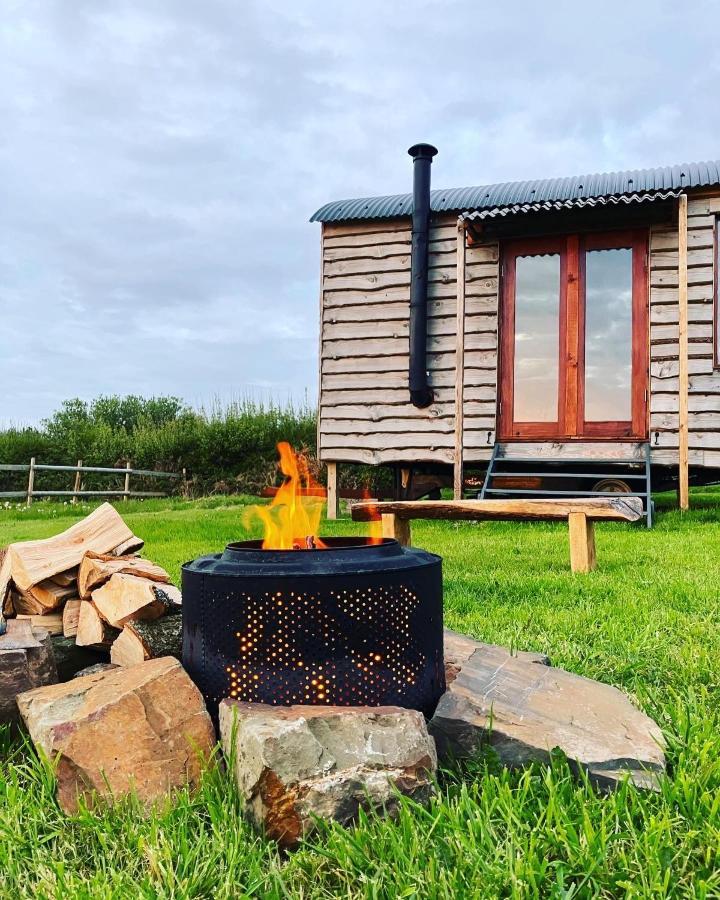Shepherds Hut In A Private Meadow With Sea Views Hartland Kültér fotó
