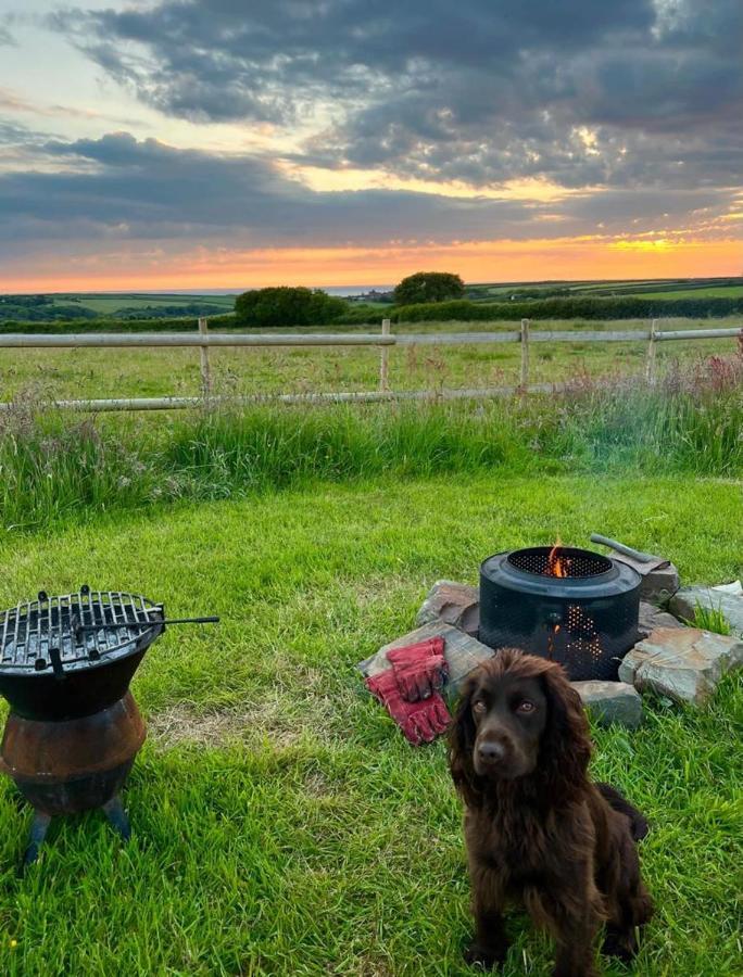 Shepherds Hut In A Private Meadow With Sea Views Hartland Kültér fotó